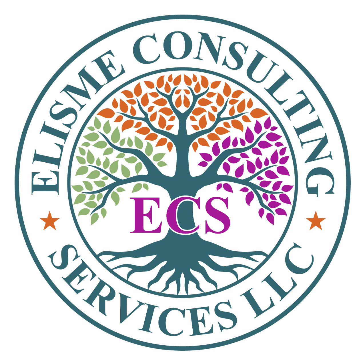 elisme-consulting-services